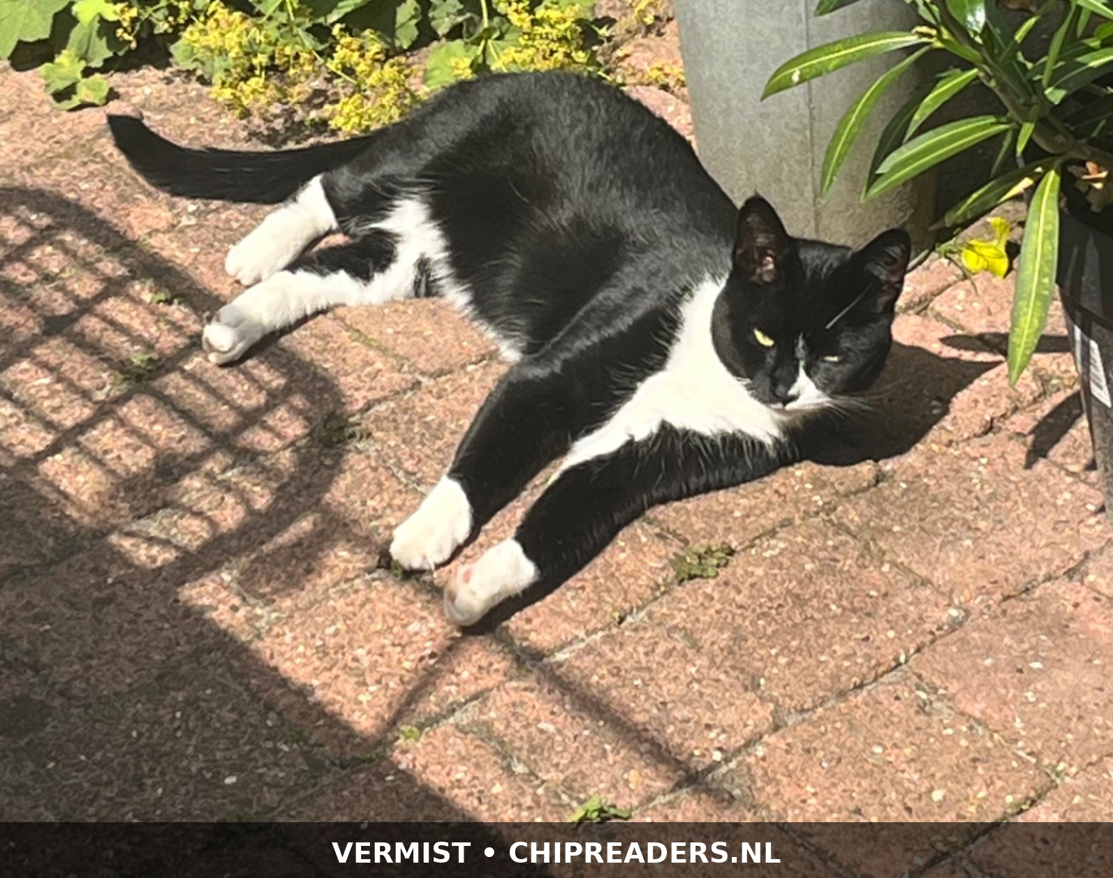 Foto van Joep