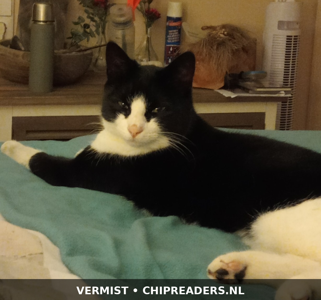 Foto van Mia