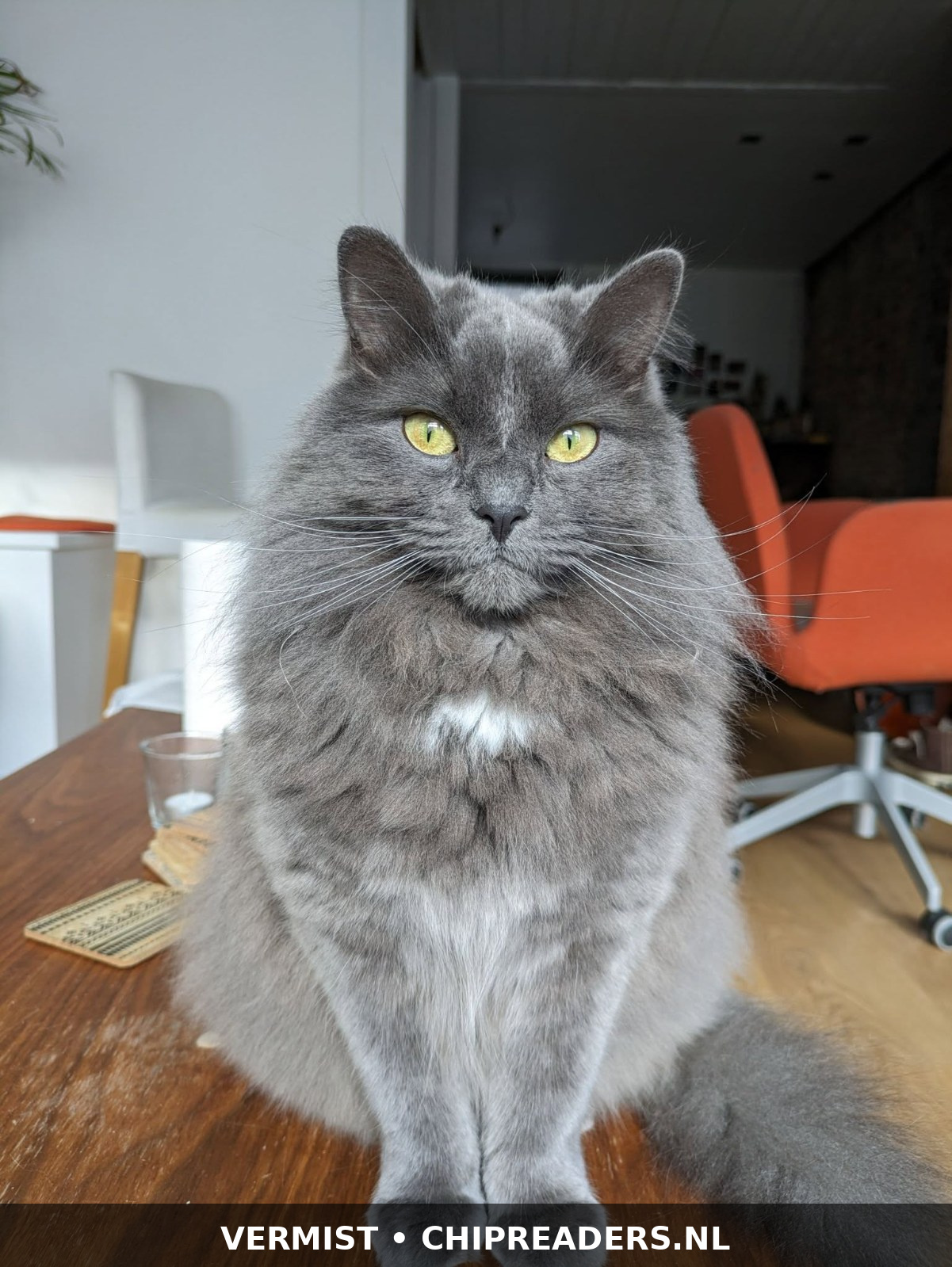 Foto van Louise