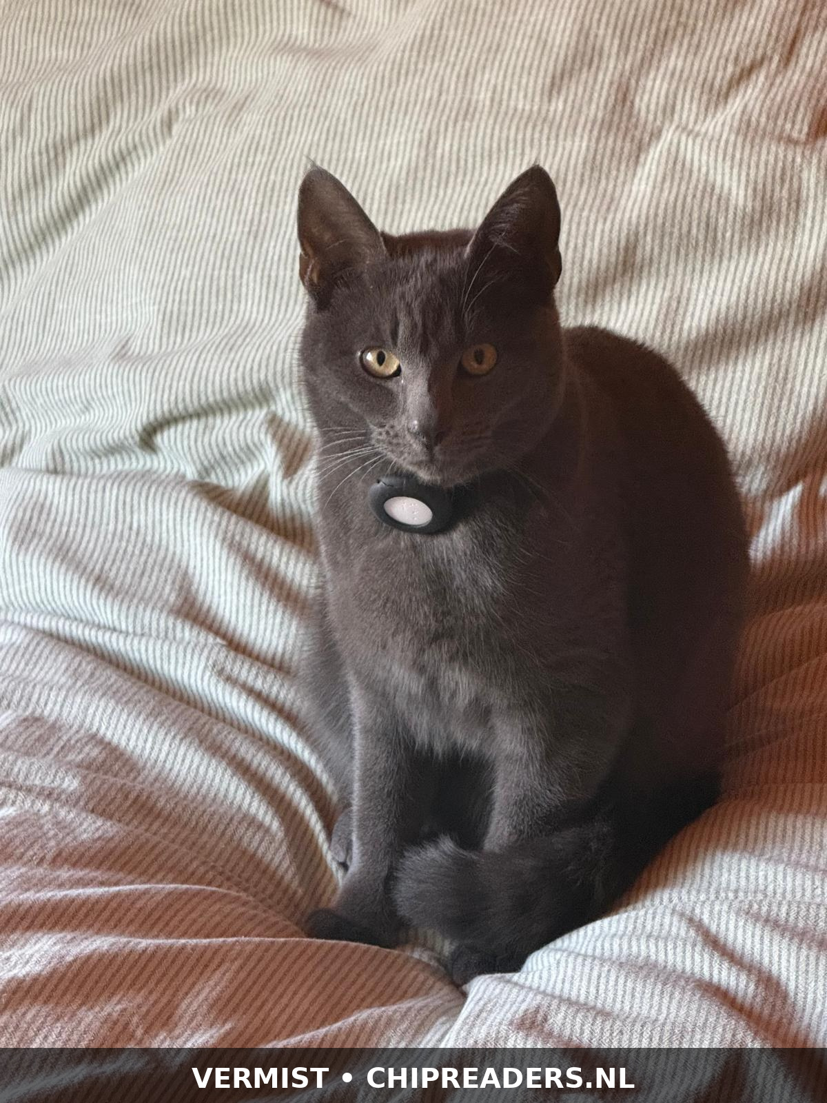 Foto van Herman