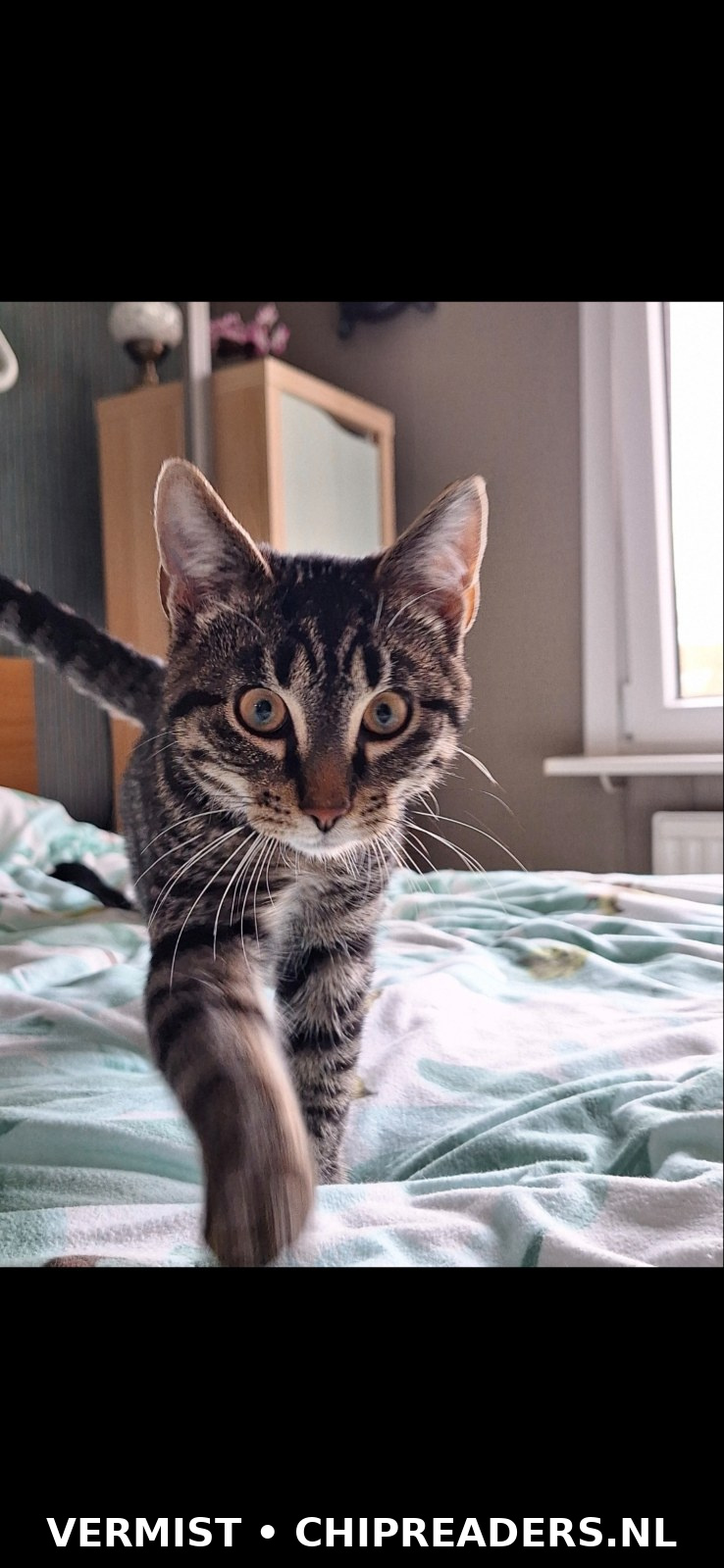 Foto van Jack