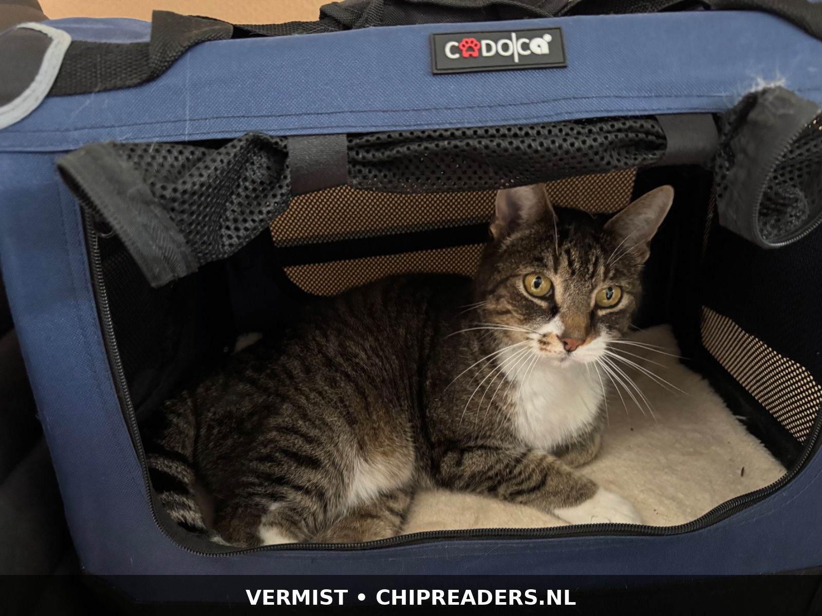 Sjoerd