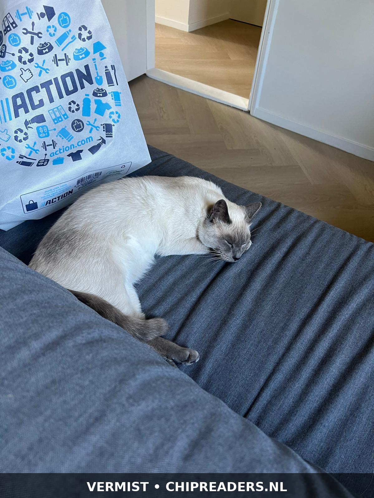 Coco foto 5