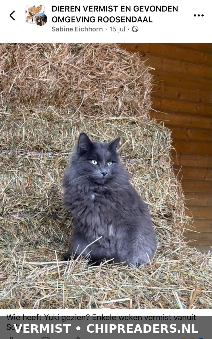 Foto van Yuki