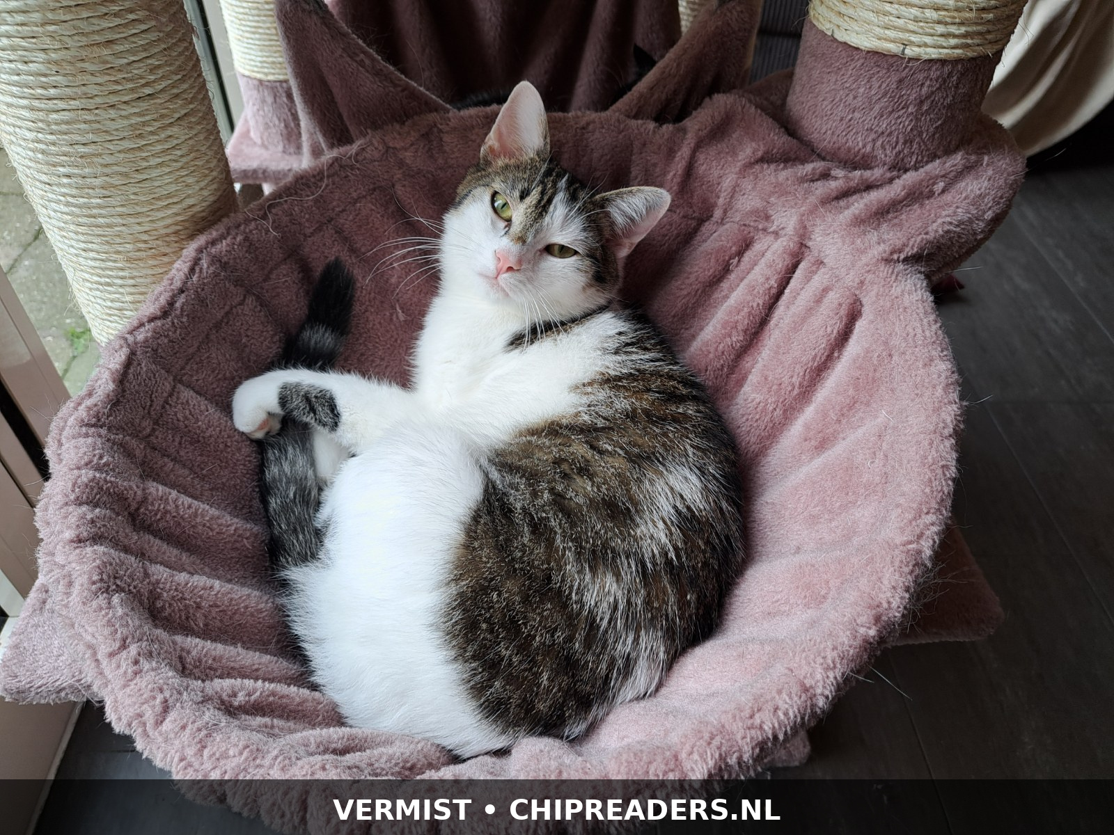 Foto van Oliver