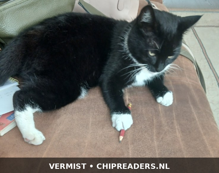 Foto van Luna