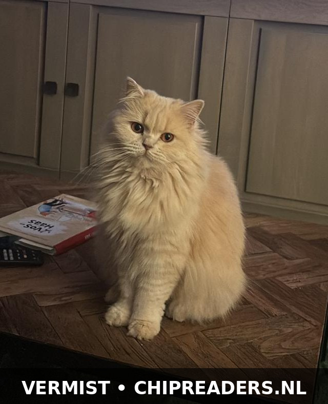 Foto van Lily