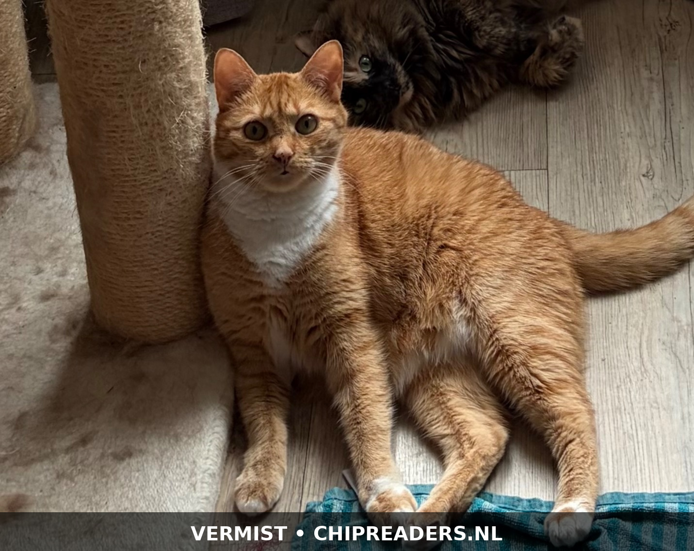 Foto van Jop